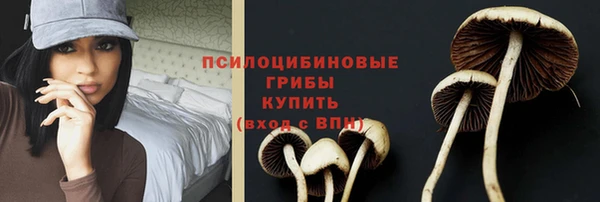 гидропоника Беломорск
