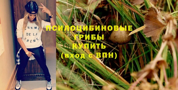 соль ск Белокуриха
