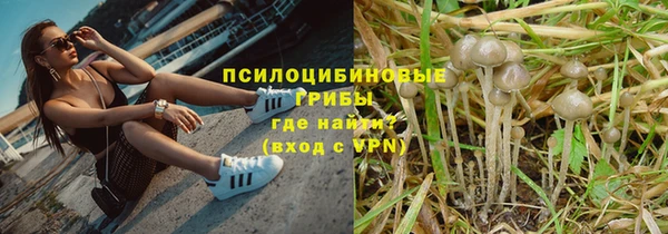 соль ск Белокуриха