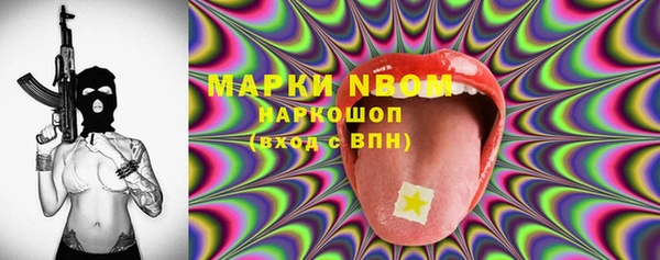 соль ск Белокуриха