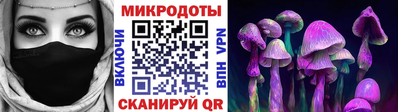 Псилоцибиновые грибы Magic Shrooms  Гудермес 